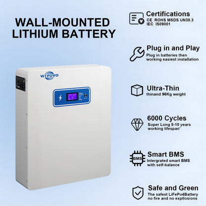 Pin LiFePO4 gắn tường 51.2V200Ah 10KW